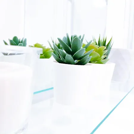 شقة فندقية Relax Aachener Boardinghouse Premium 1 آخن