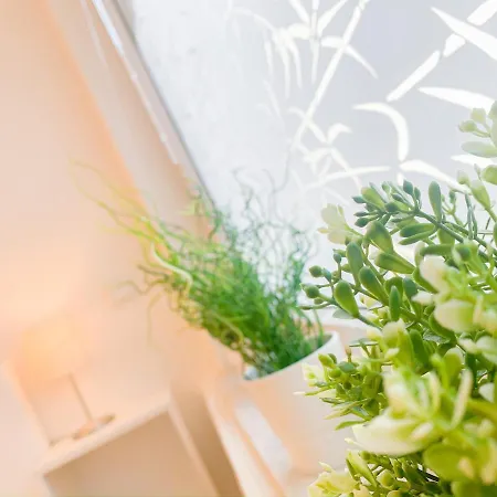Relax Aachener Boardinghouse Premium 1 Lejlighedshotel Aachen