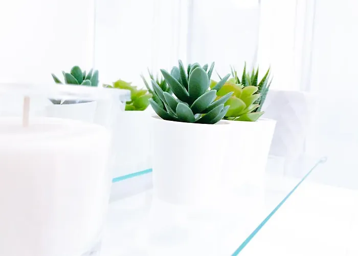 Aparthotel Relax Aachener Boardinghouse Premium 1 Aquisgrana