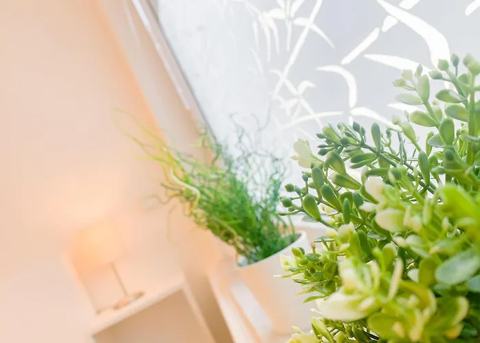 Relax Aachener Boardinghouse Premium 1 公寓式酒店 亚琛